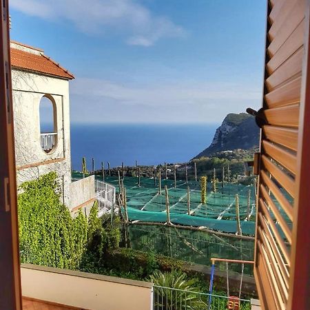 Villa Mariel Suites & Apartment Massa Lubrense Cameră foto