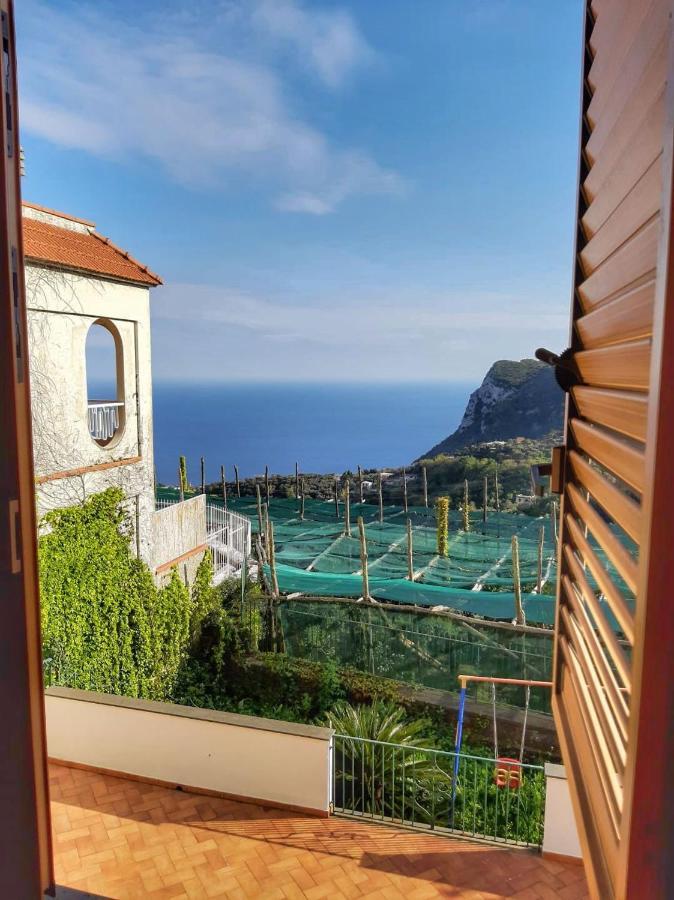 Villa Mariel Suites & Apartment Massa Lubrense Cameră foto